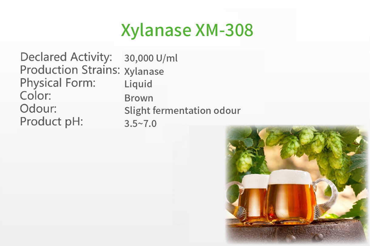 Xylanase XM-308