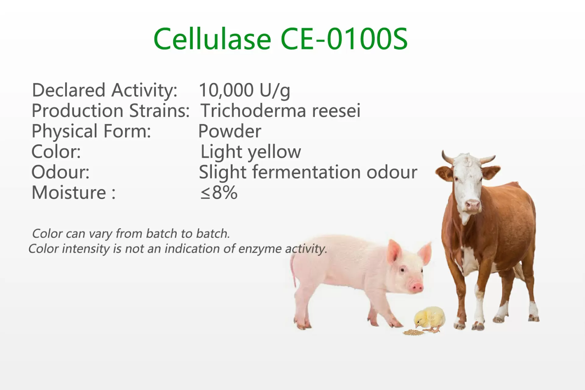 Acid Cellulase CE-0100S