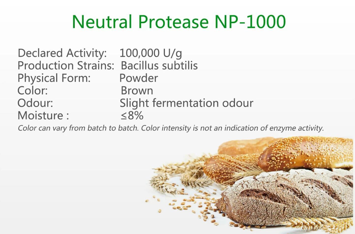 Neutral Protease NP-1000