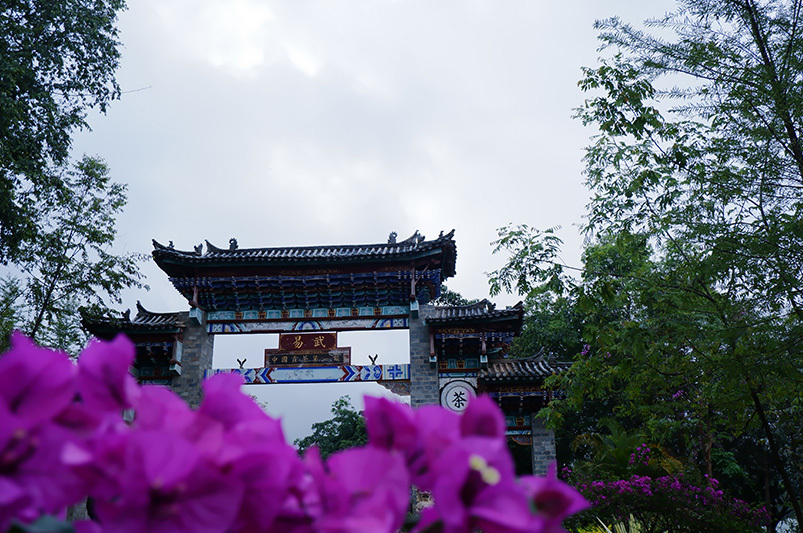 图片名称
