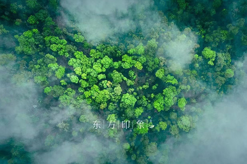图片名称