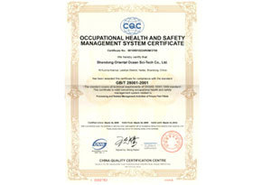 职业健康管理体系认证证书 英文版
