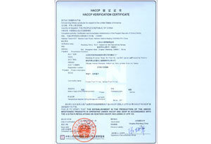 Certification Certification