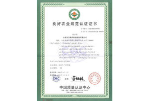 Certificate of Good Agricultural Practice