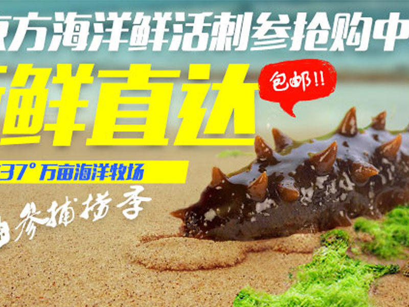 Sea cucumber nourishing is expensive in perseverance