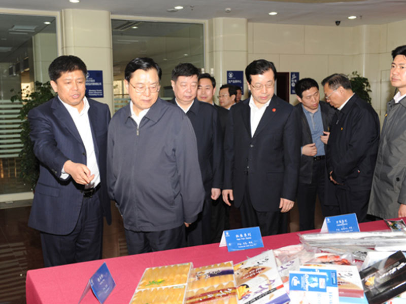 Zhang Dejiang visited the company during his research in Shandong