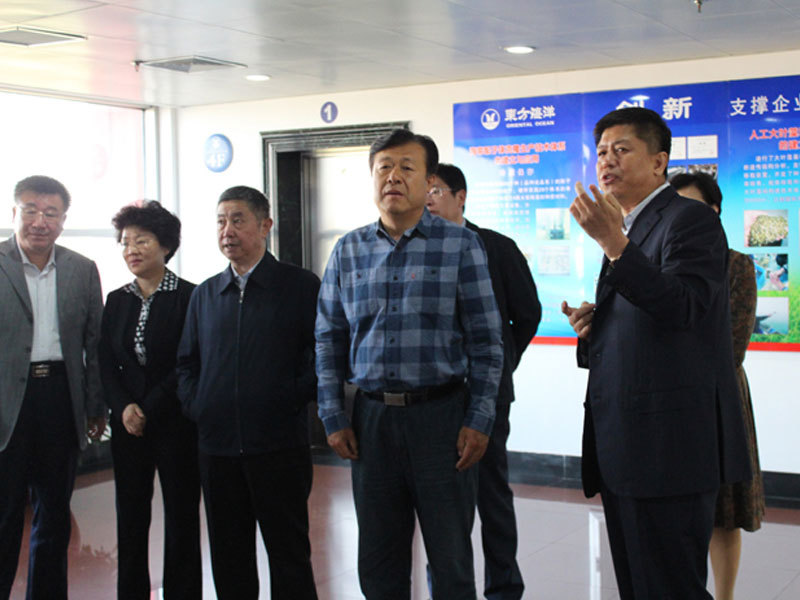 Deputy Minister of Agriculture Yu Kangzhen and Vice Governor Zhao Runtian visited the company