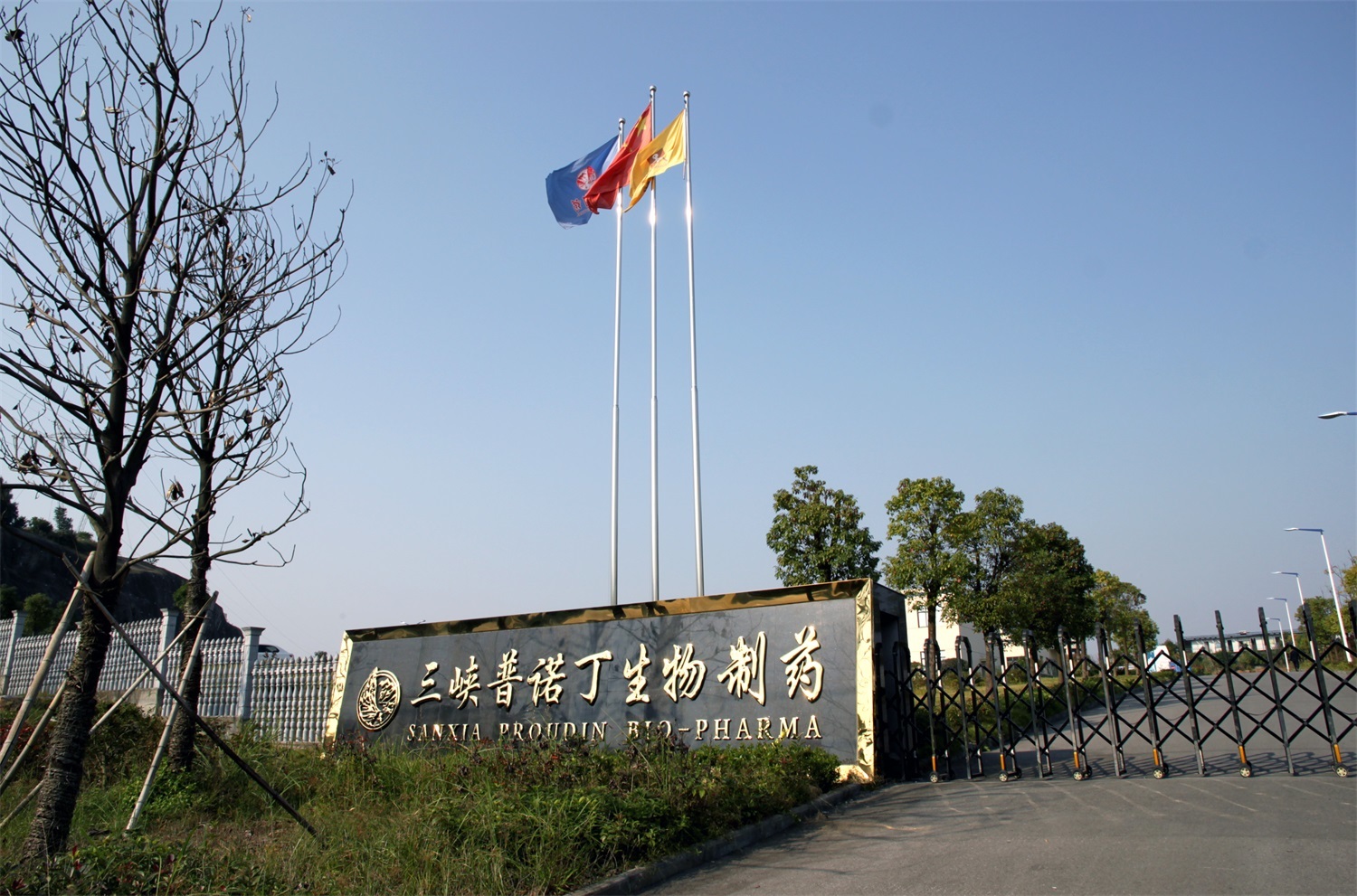 Boas notícias! A empresa ganhou o título de empresa "pequena gigante" na província de Hubei