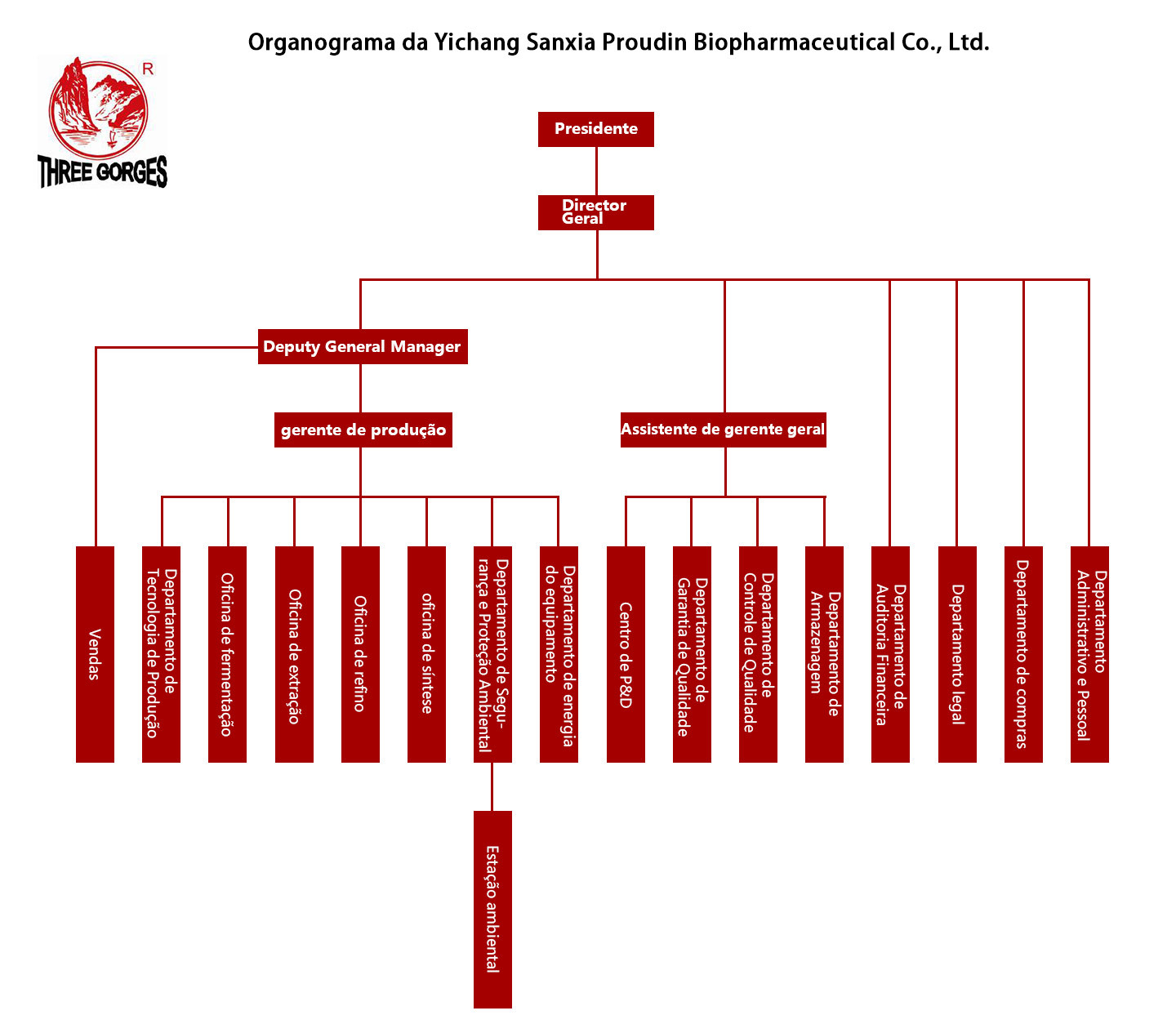 Organização