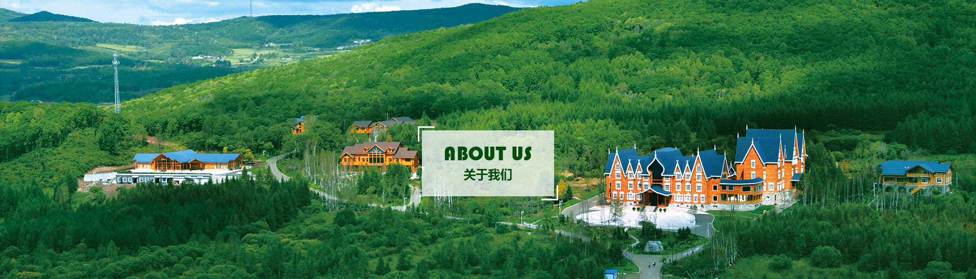 关于我们