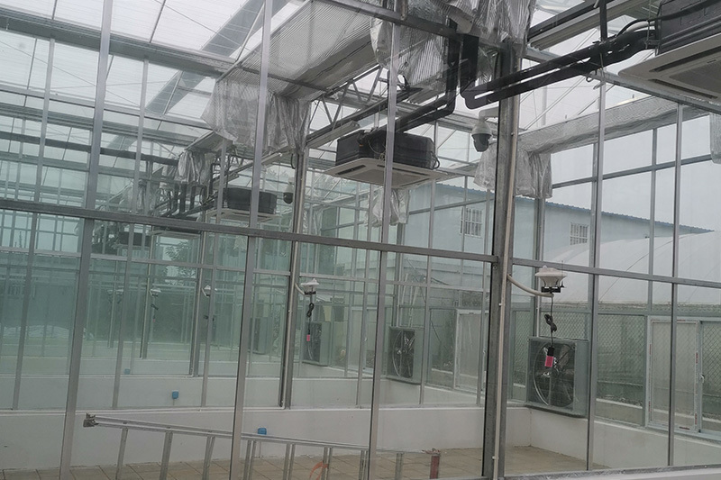 Full tempered glass greenhouse in Zhengzhou city