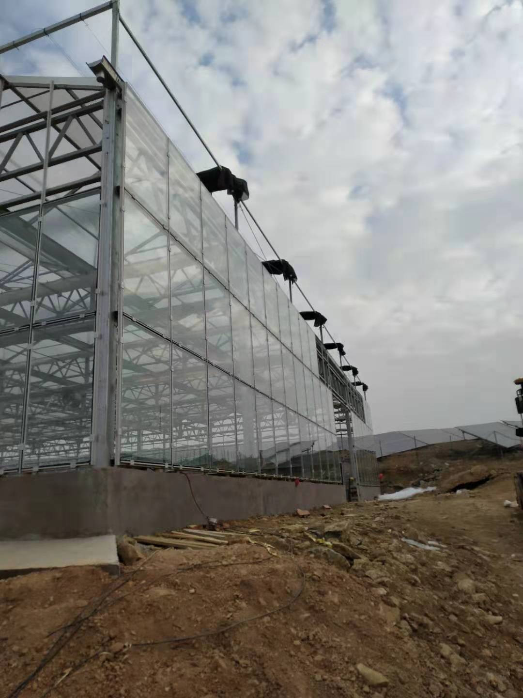 Glass greenhouse