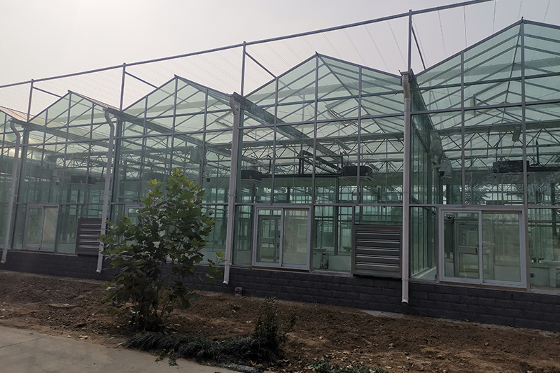 Full tempered glass greenhouse