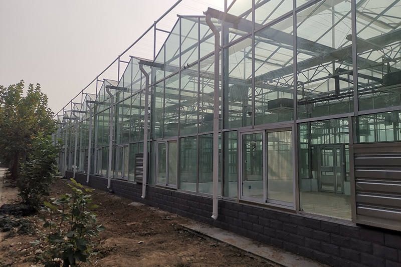 Full tempered glass greenhouse
