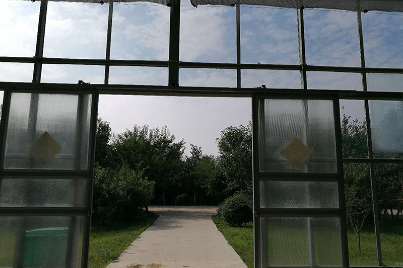 Health Island Greenhouse Project