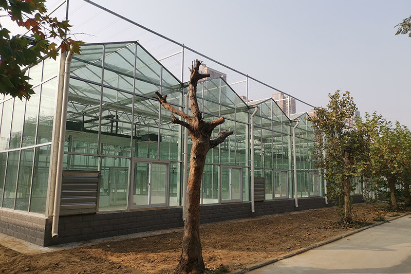 الدفيئة الزجاجية بالكامل في مدينة تشنغتشو