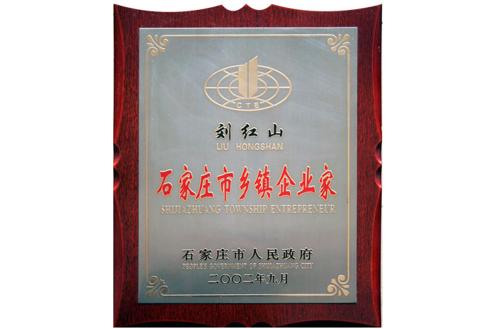Township entrepreneur of Shijiazhuang