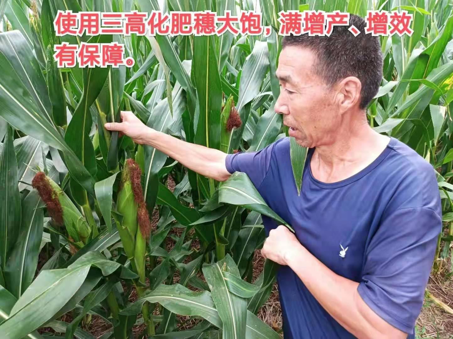 三高農(nóng)業(yè)