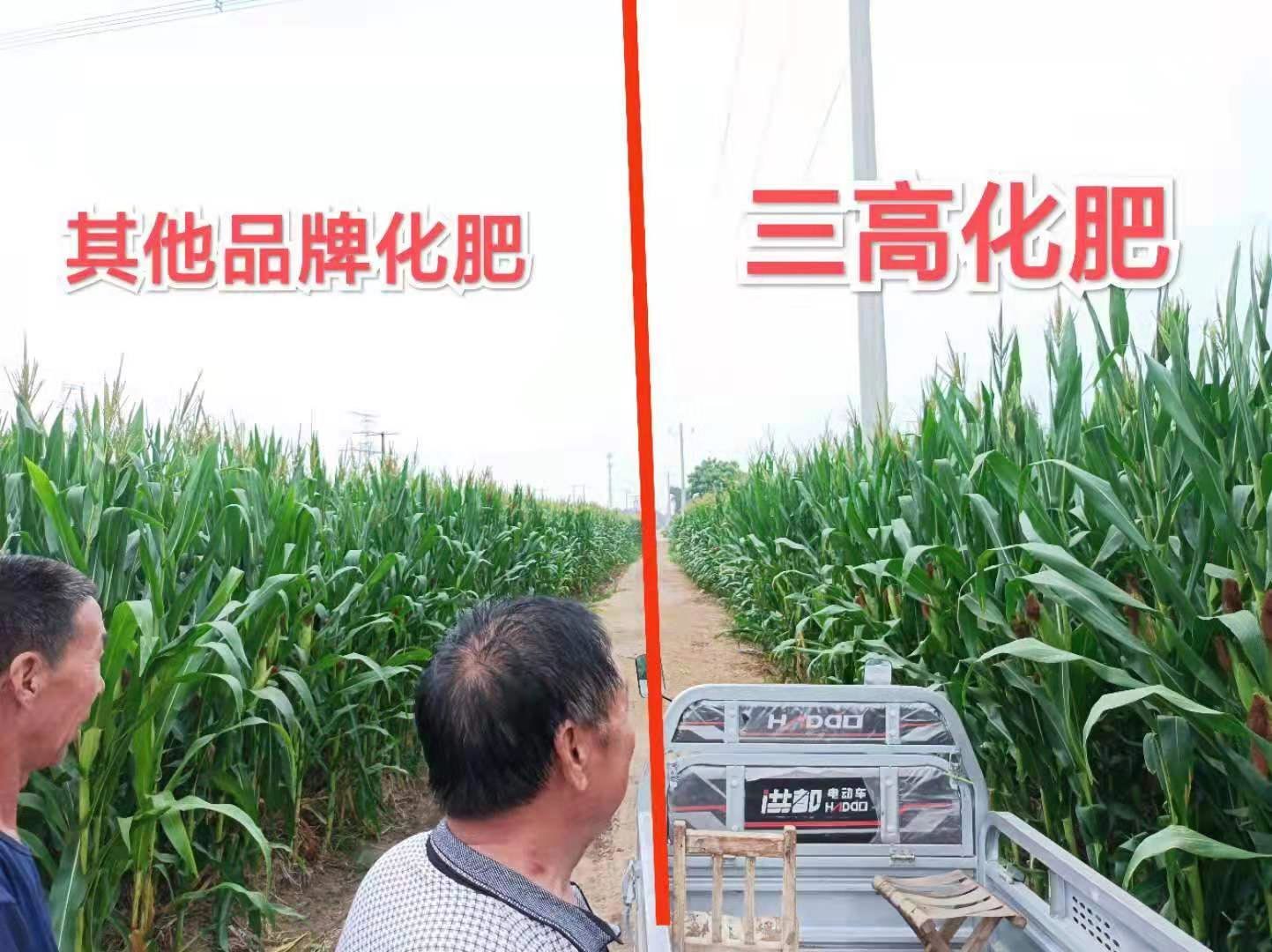 三高農(nóng)業(yè)