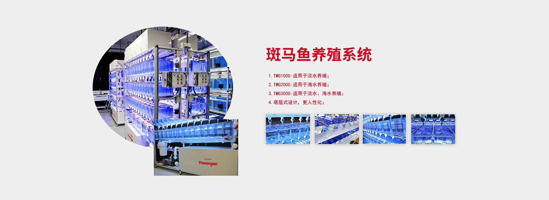 斑马鱼养殖系统、高通量组织研磨仪、生物降解检测、全自动核酸提取仪、研磨仪
