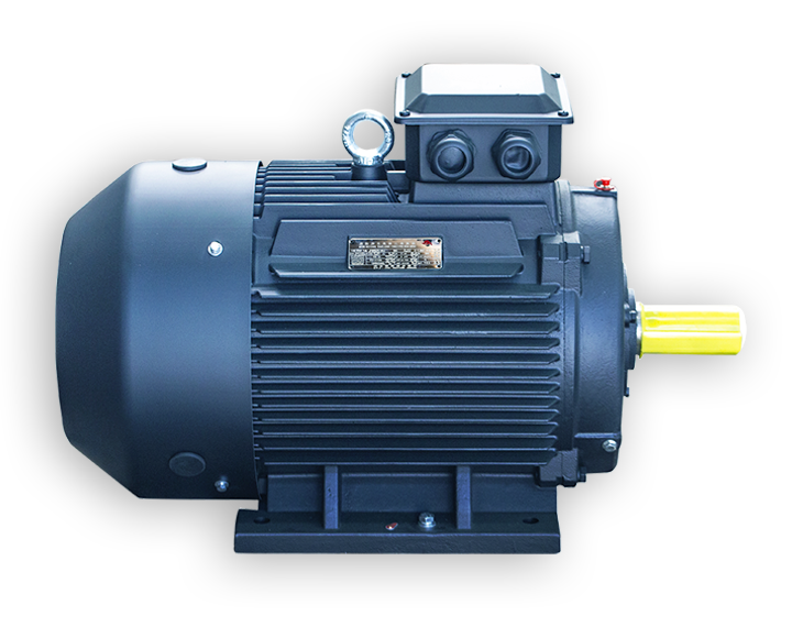 YE5 series ultra-high efficiency three-phase asynchronous motor