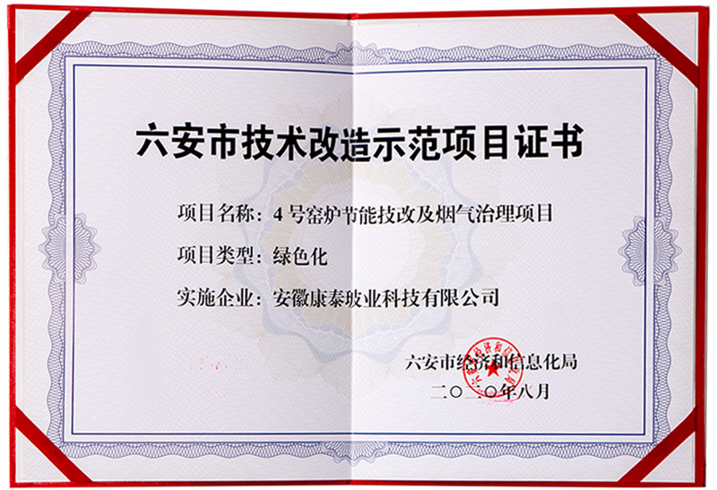 Lu'an City Technical Transformation Demonstration Project Certificate