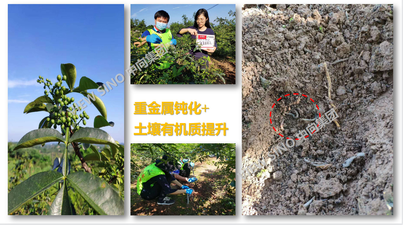 图片名称 图片名称