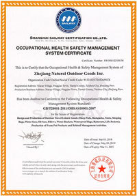 Occupational Health Management System Certification