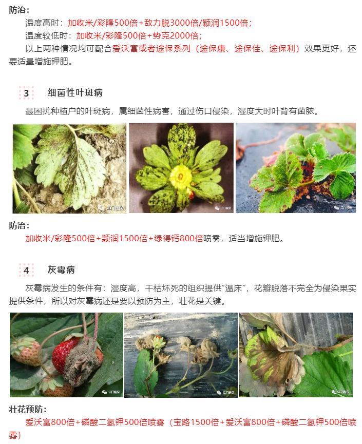 江門(mén)植保