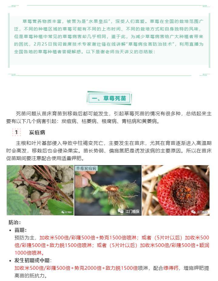 江門(mén)植保