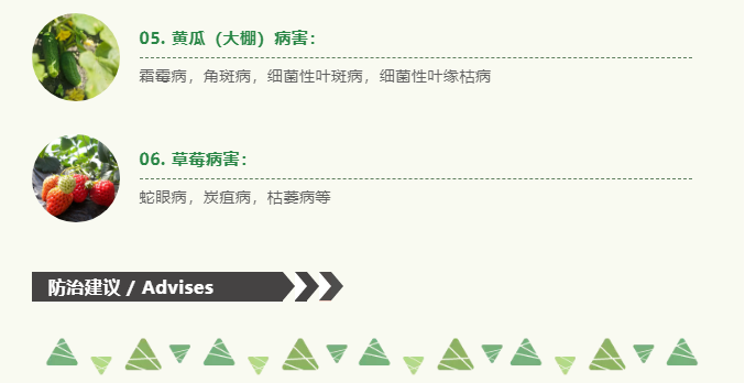 江門植保