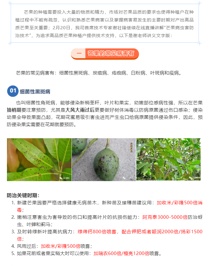 江門(mén)植保