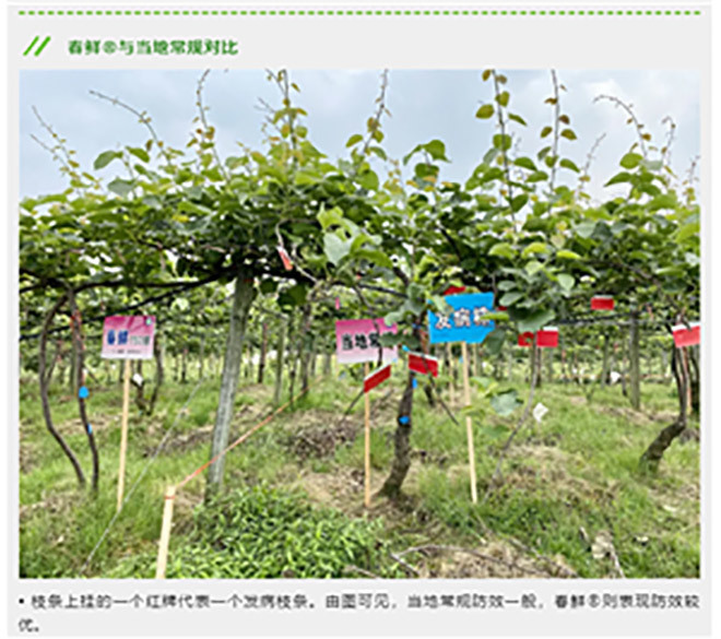 江門植保