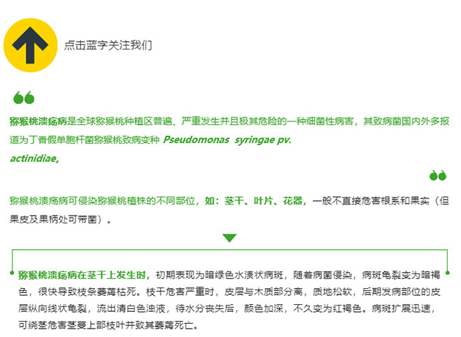 江門植保