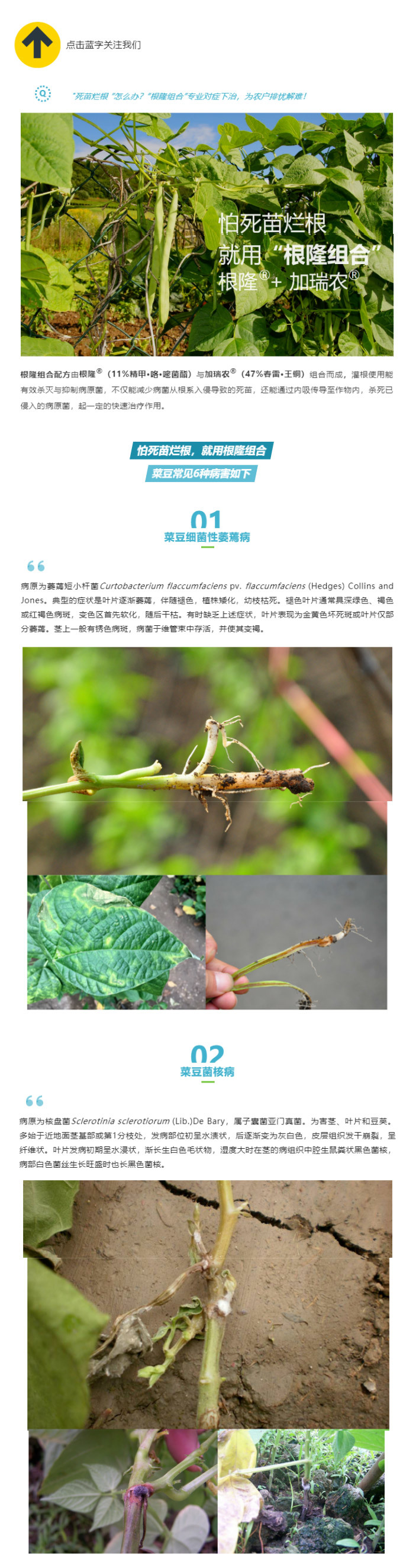 江門植保