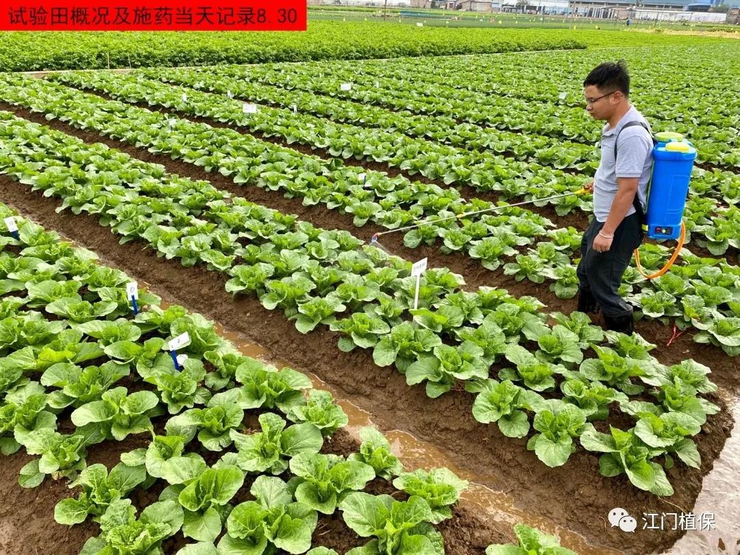 江門植保