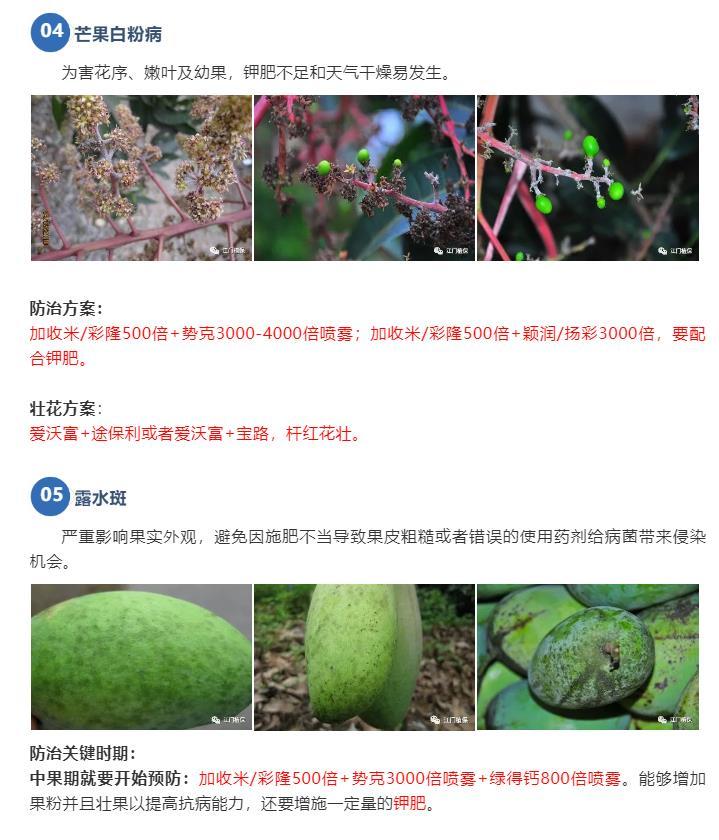 江門(mén)植保