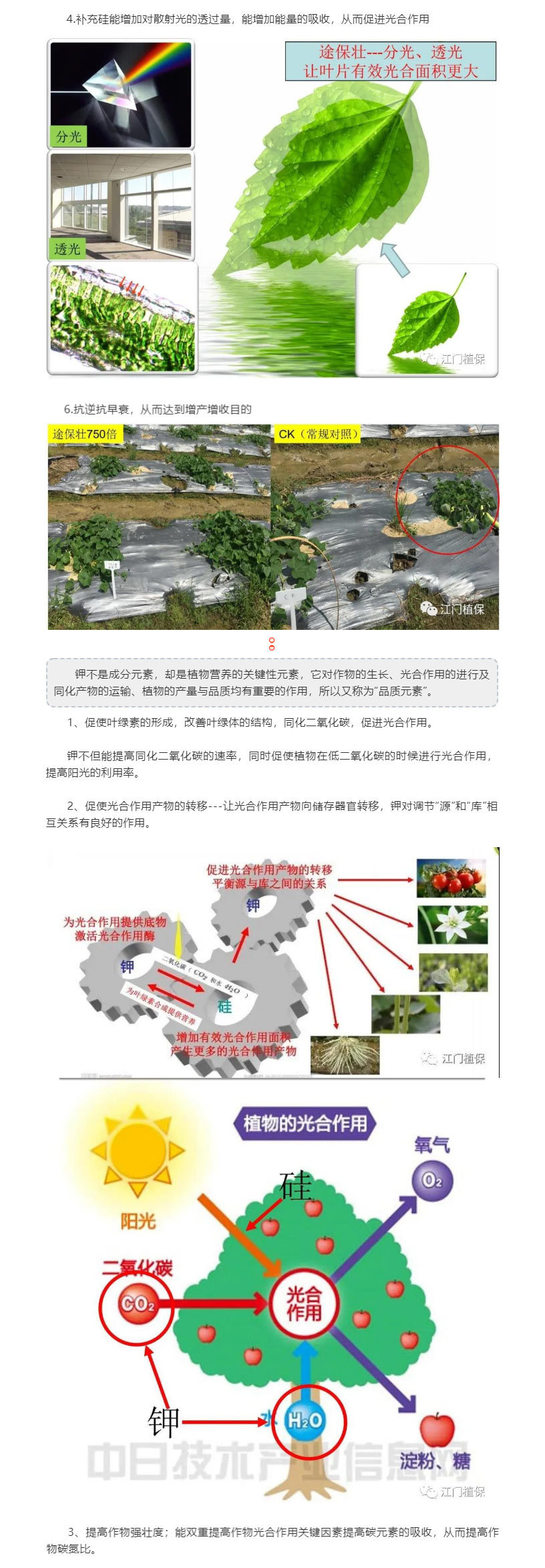 全新硅肥途保壯火爆上市
