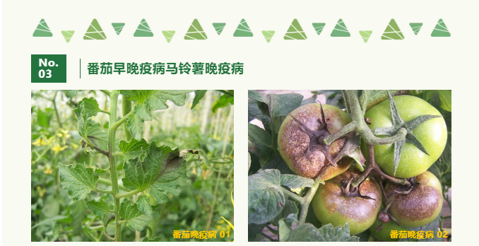 江門植保