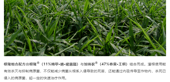 江門植保