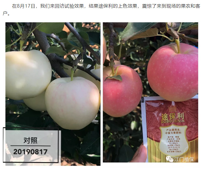 江門(mén)植保