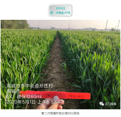 江門(mén)植保