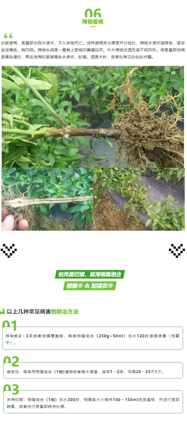 江門植保
