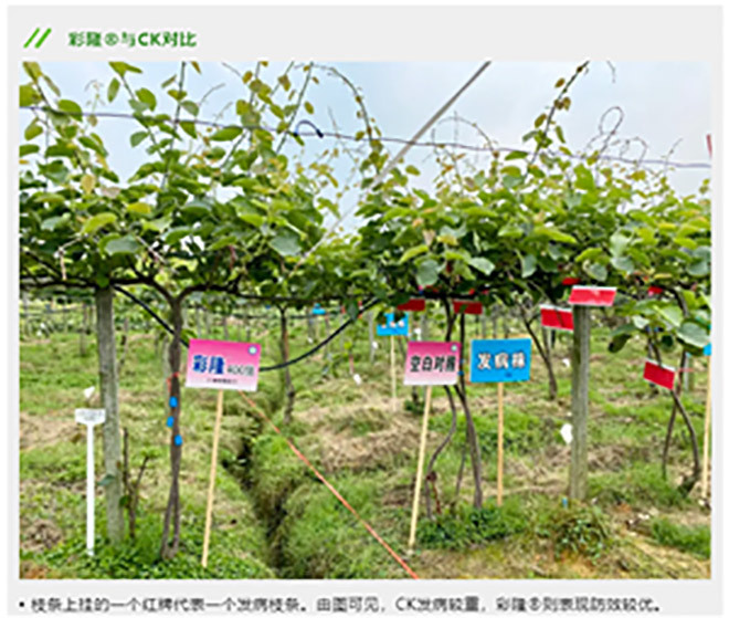 江門植保