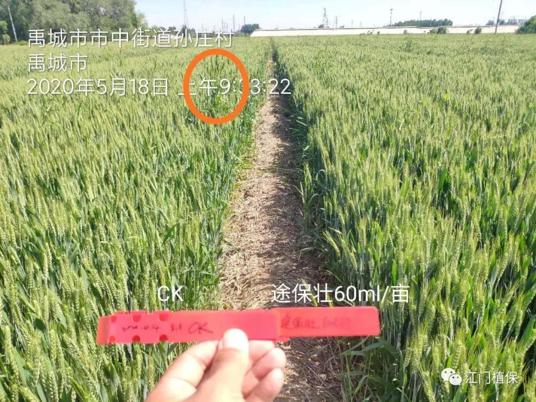 江門(mén)植保