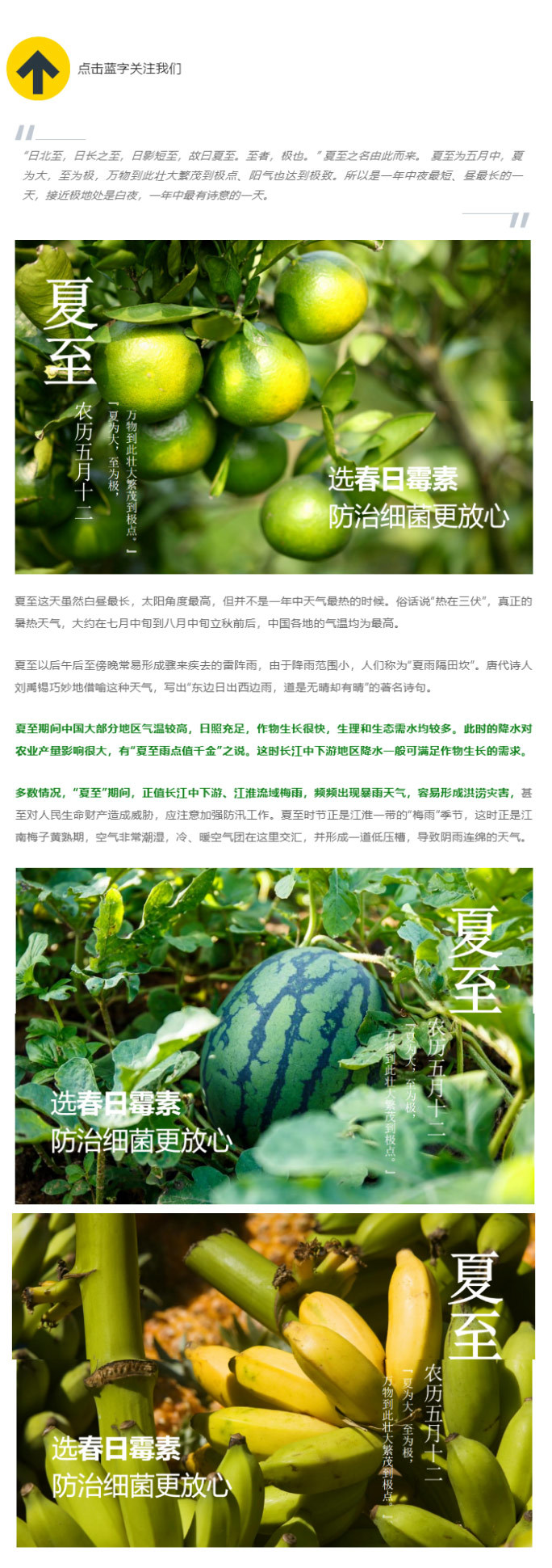 夏至丨夏雨滋養萬物生長：選春日霉素，無懼細菌侵擾