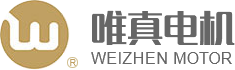Shenzhen Weizhen Motor Development Co.,Ltd