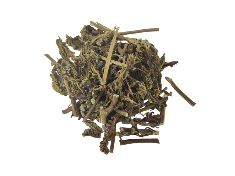 延命草