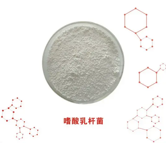 嗜酸乳杆菌