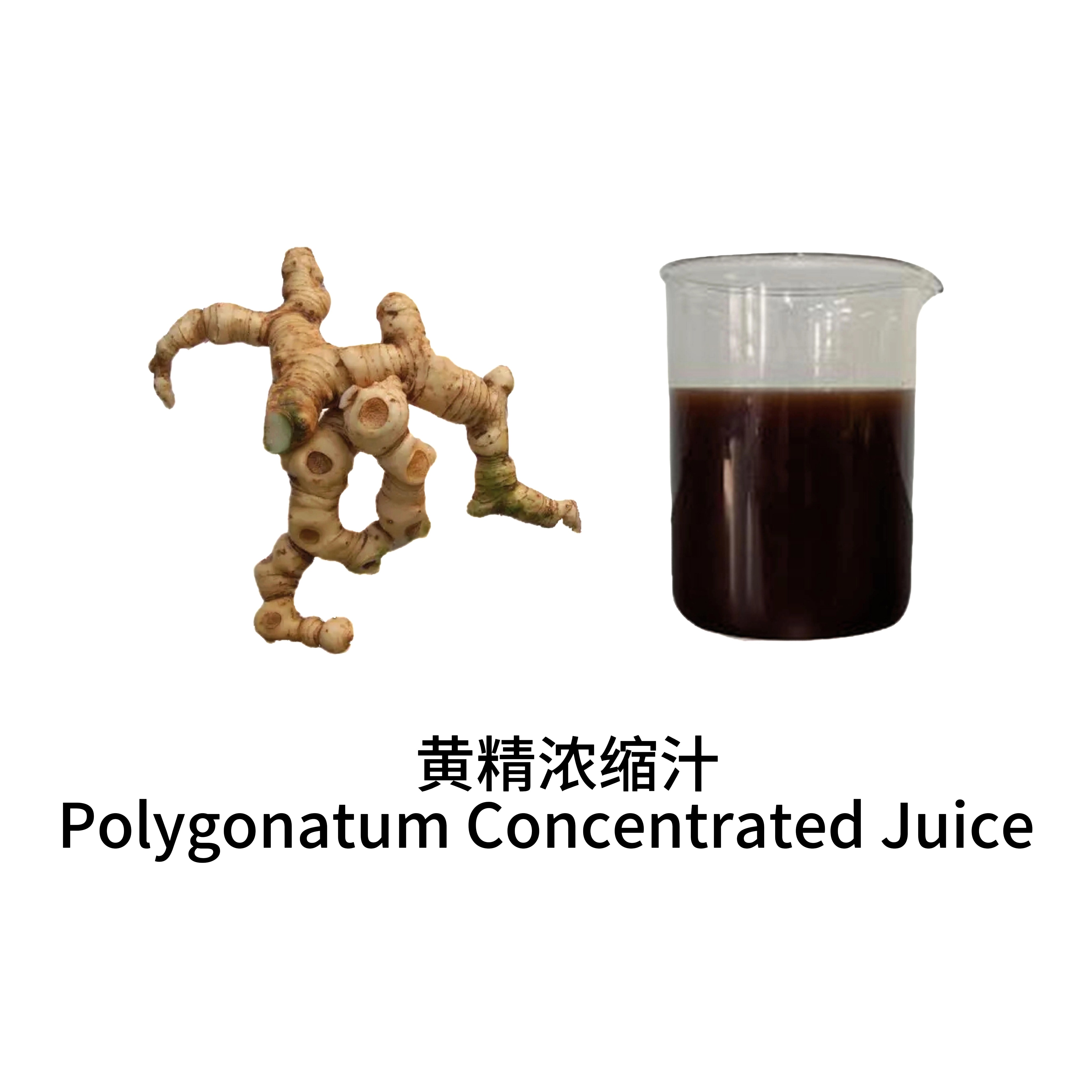 黄精汁＆粉